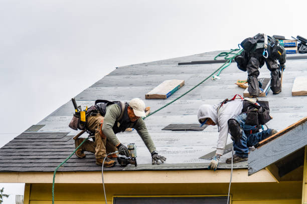 Professional Roof Replacement technician working in Monroe, SD